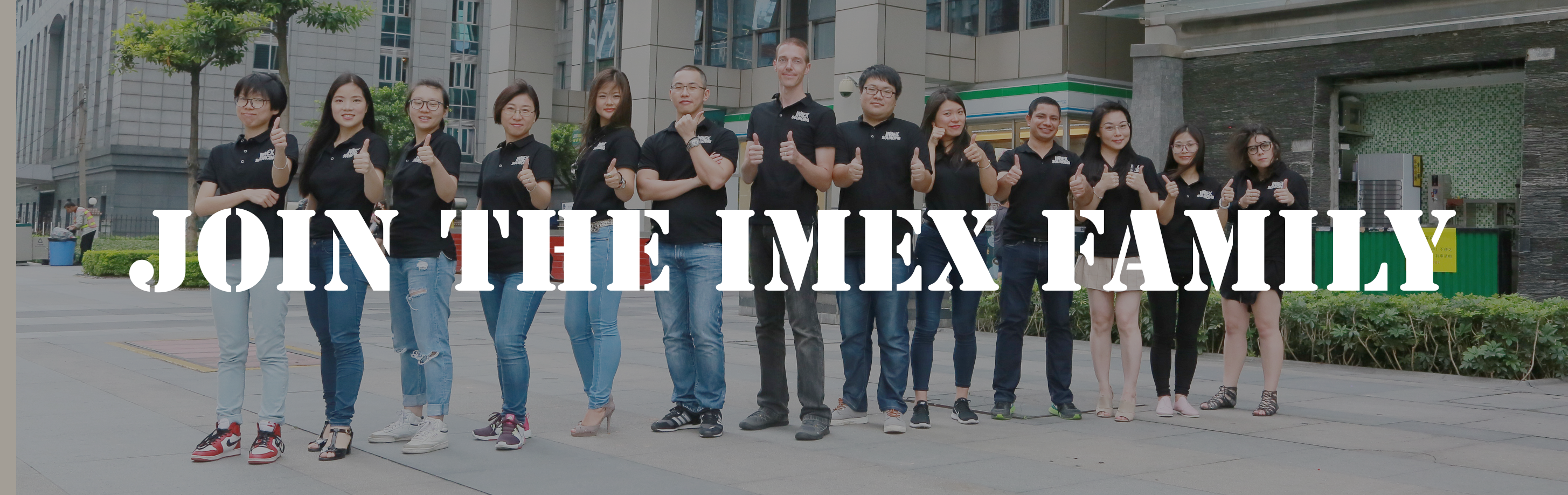 team imex